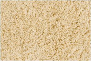 How Often Should You Get Your Carpets Professionally Cleaned?