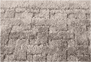 Carpets And Health—How Dirty Carpets Adversely Affect Your Health