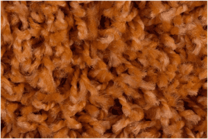 Wool Carpet Cleaning – What’s the Myth, What’s the Fact?