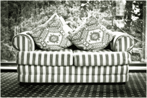 Some Common Upholstery Cleaning Concerns (And Their Solutions)