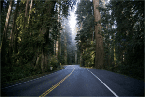 A Message for Bakersfieldians from Excellence Janitorial Services and Carpet Cleaning