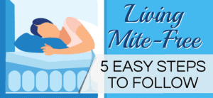 Living Mite-Free