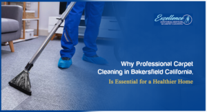 professional-carpet-cleaning-blog-banner